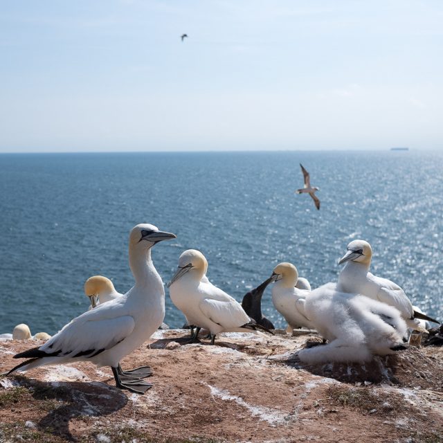 with friends and a view #lummen #helgoland #getout #justgoshoot #instagood #picoftheday #photooftheday #travelgram #travelphotography
_________________________________________
PLEASE:
👍Like/Comment/Tag
💬Share your thoughts
_________________________________________